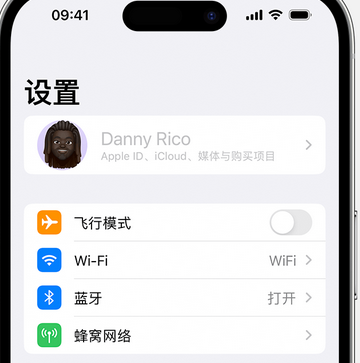 樊城appleID维修服务iPhone设置中Apple ID显示为灰色无法使用