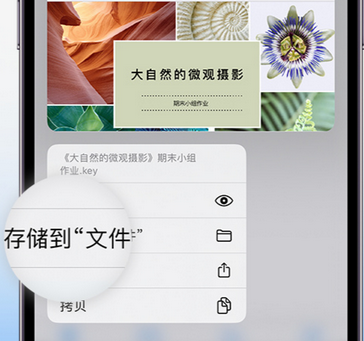 樊城apple维修中心分享iPhone文件应用中存储和找到下载文件