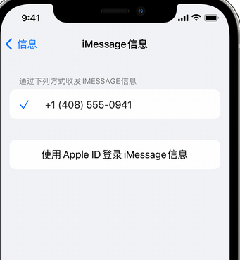 樊城apple维修iPhone上无法正常发送iMessage信息 