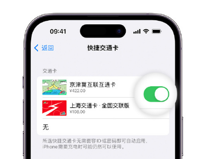 樊城apple维修点分享iPhone上更换Apple Pay快捷交通卡手绘卡面 