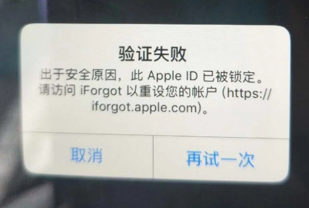 樊城iPhone维修分享iPhone上正常登录或使用AppleID怎么办 