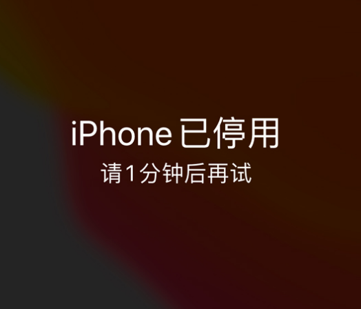 樊城苹果手机维修分享:iPhone 显示“不可用”或“已停用”怎么办？还能保留数据吗？ 