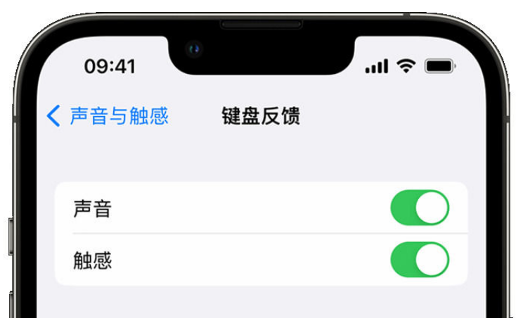 樊城苹果手机维修分享iPhone 14触感键盘使用方法 