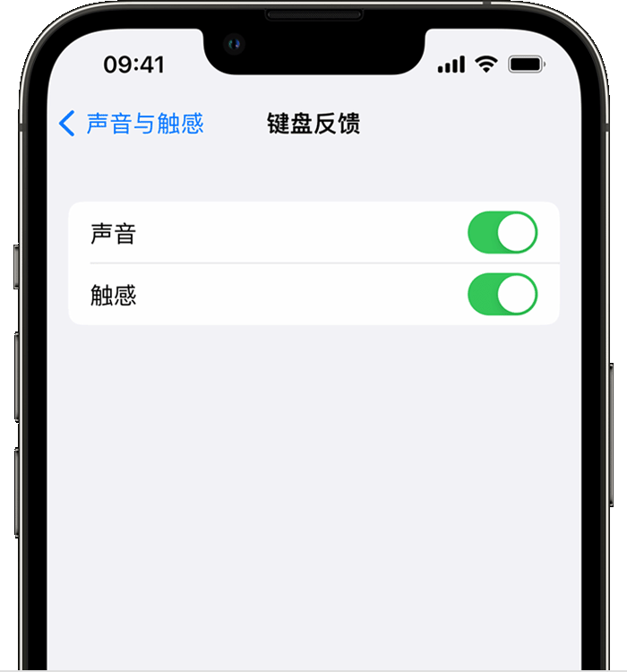 樊城苹果14维修店分享如何在 iPhone 14 机型中使用触感键盘 