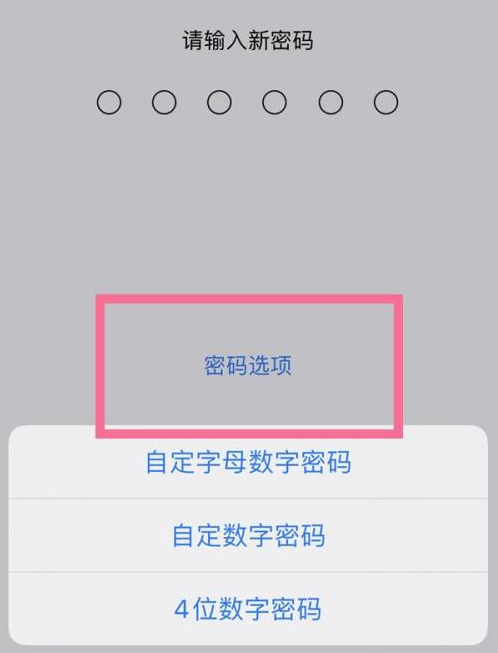 樊城苹果14维修分享iPhone 14plus设置密码的方法 