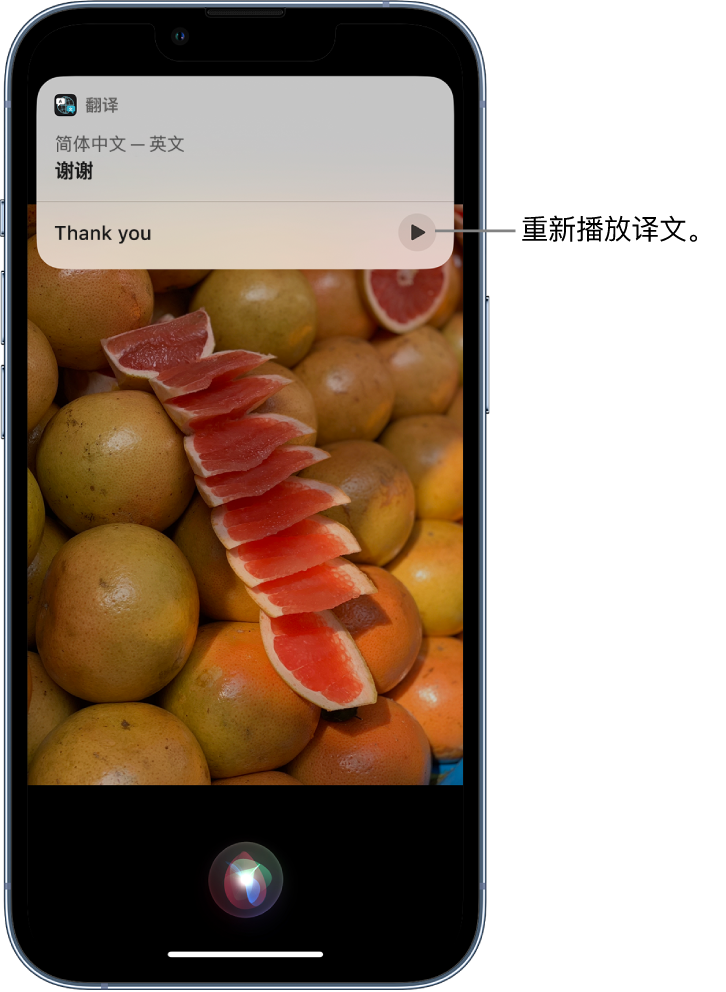 樊城苹果14维修分享 iPhone 14 机型中使用 Siri：了解 Siri 能帮你做什么 