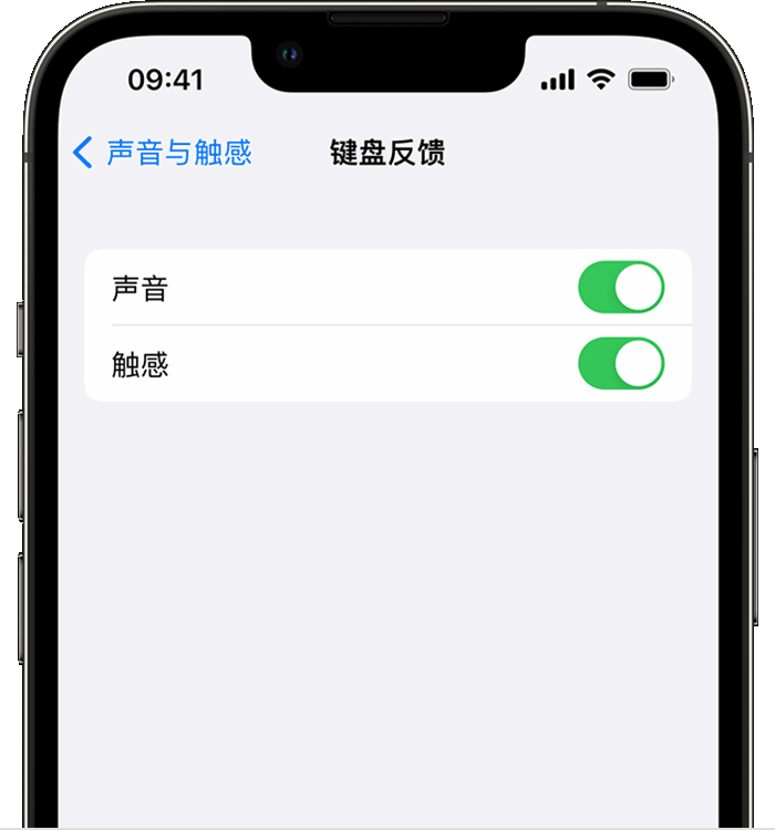 樊城苹果14维修分享iPhone 14 系列机型如何开启键盘声音或触感反馈 