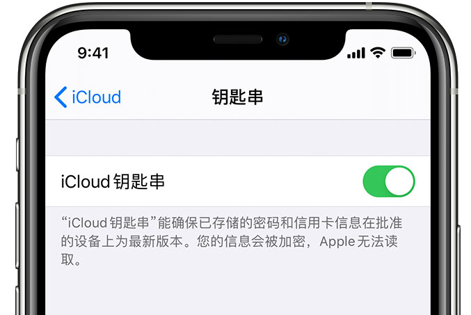 樊城苹果手机维修分享在 iPhone 上开启 iCloud 钥匙串之后会储存哪些信息 