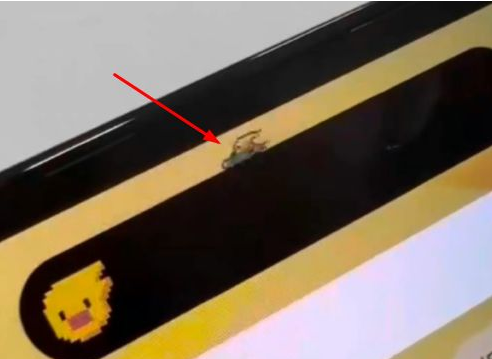 樊城苹果14维修分享iPhone 14 Pro Max灵动岛怎么养宠物 