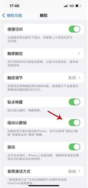 樊城苹果手机维修分享iPhone手机如何设置摇一摇删除文字 