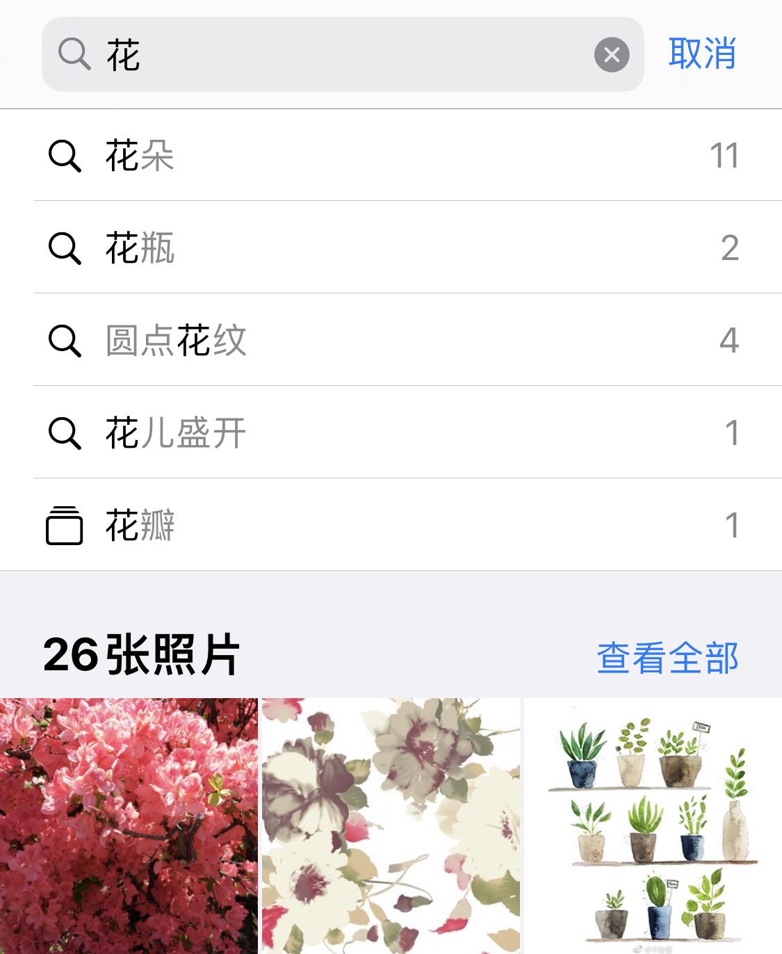 樊城苹果手机维修分享iPhone 小技巧 