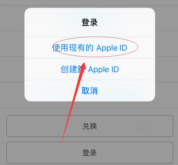 樊城苹果手机维修分享两台iPhone设备可以同时登录一个Apple ID吗 