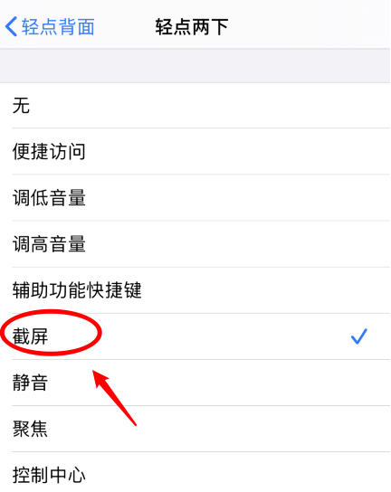 樊城苹果手机维修分享iPhone12如何启用双击截屏 