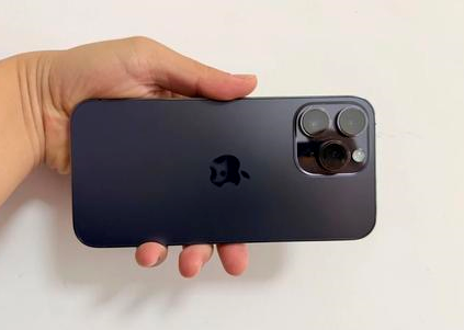 樊城苹果维修点分享iPhone 14 Pro Max黑屏少见故障盘点 